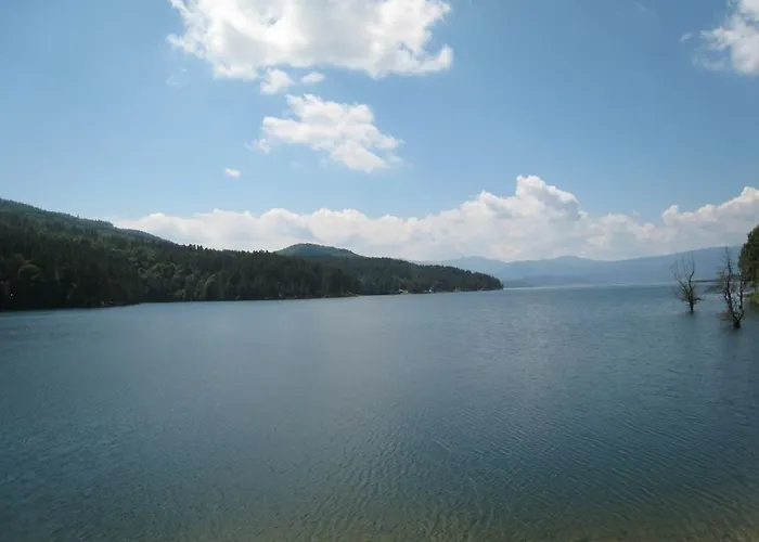 Gasthof Family Shisharka 3*